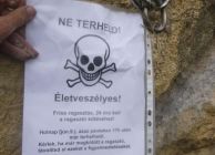 Felhívás